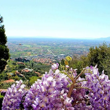 La Moresca Relais De Charme Alto (adults Only) Bed & Breakfast Montecatini Terme